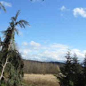 Meet your Posher, Mathew